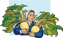 Vegetables Clipart