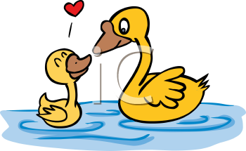 Swan Clipart