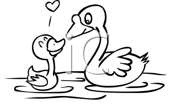 Swan Clipart