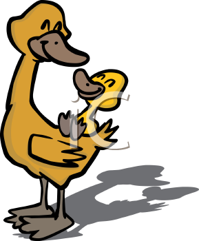 Duck Clipart