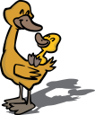 Duck Clipart