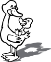 Duck Clipart