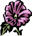 Rose Clipart