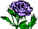 Rose Clipart