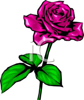 Rose Clipart