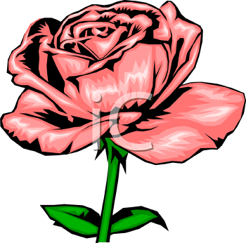 Rose Clipart