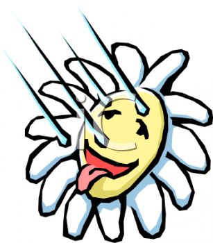 Sunflower Clipart