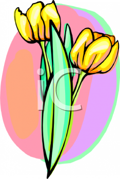 Tulip Clipart