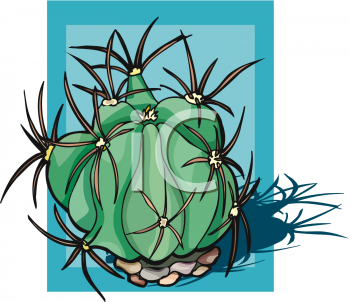 Cactus Clipart