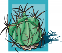 Cactus Clipart