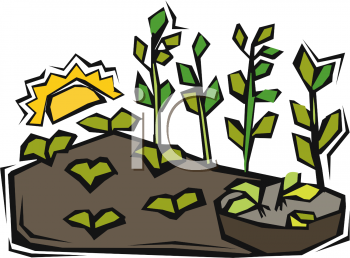 Garden Clipart