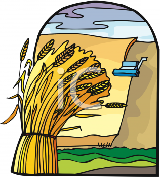 Wheat Clipart