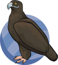 Eagle Clipart