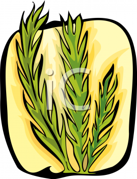 Grass Clipart