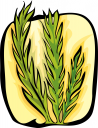 Grass Clipart