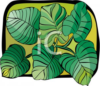 Grass Clipart