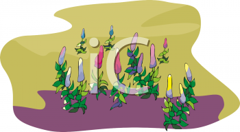 Garden Clipart