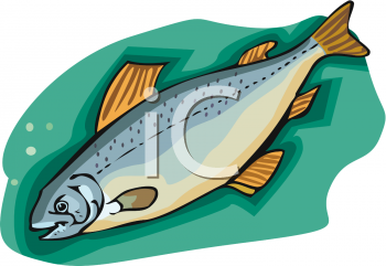 Fish Clipart