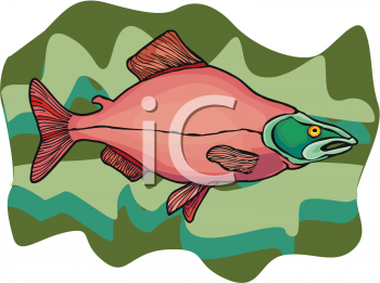 Fish Clipart