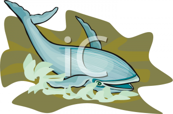 Whale Clipart