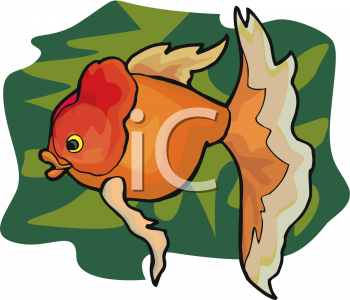 Fish Clipart