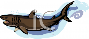 Fish Clipart