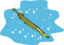 Fish Clipart