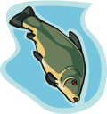 Fish Clipart