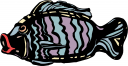 Fish Clipart