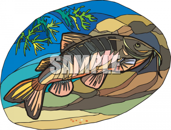 Fish Clipart