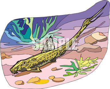 Catfish Clipart