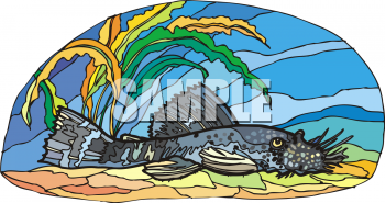 Catfish Clipart