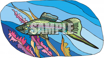 Fish Clipart