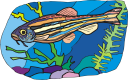 Fish Clipart