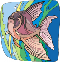 Fish Clipart