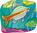 Fish Clipart