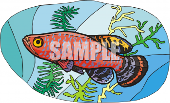 Fish Clipart