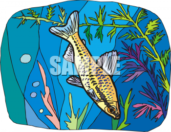 Fish Clipart