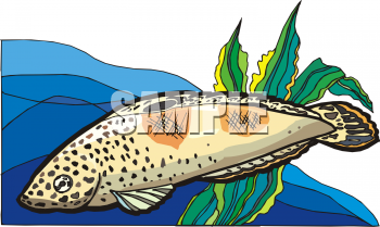 Fish Clipart