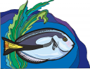 Fish Clipart