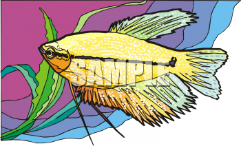 Fish Clipart