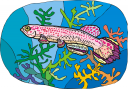 Fish Clipart