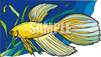 Fish Clipart