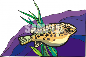 Fish Clipart