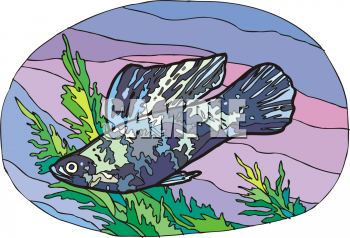 Fish Clipart