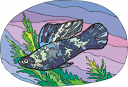 Fish Clipart