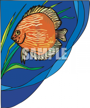 Fish Clipart