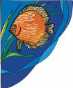 Fish Clipart