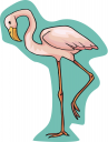 Flamingo Clipart