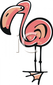 Flamingo Clipart